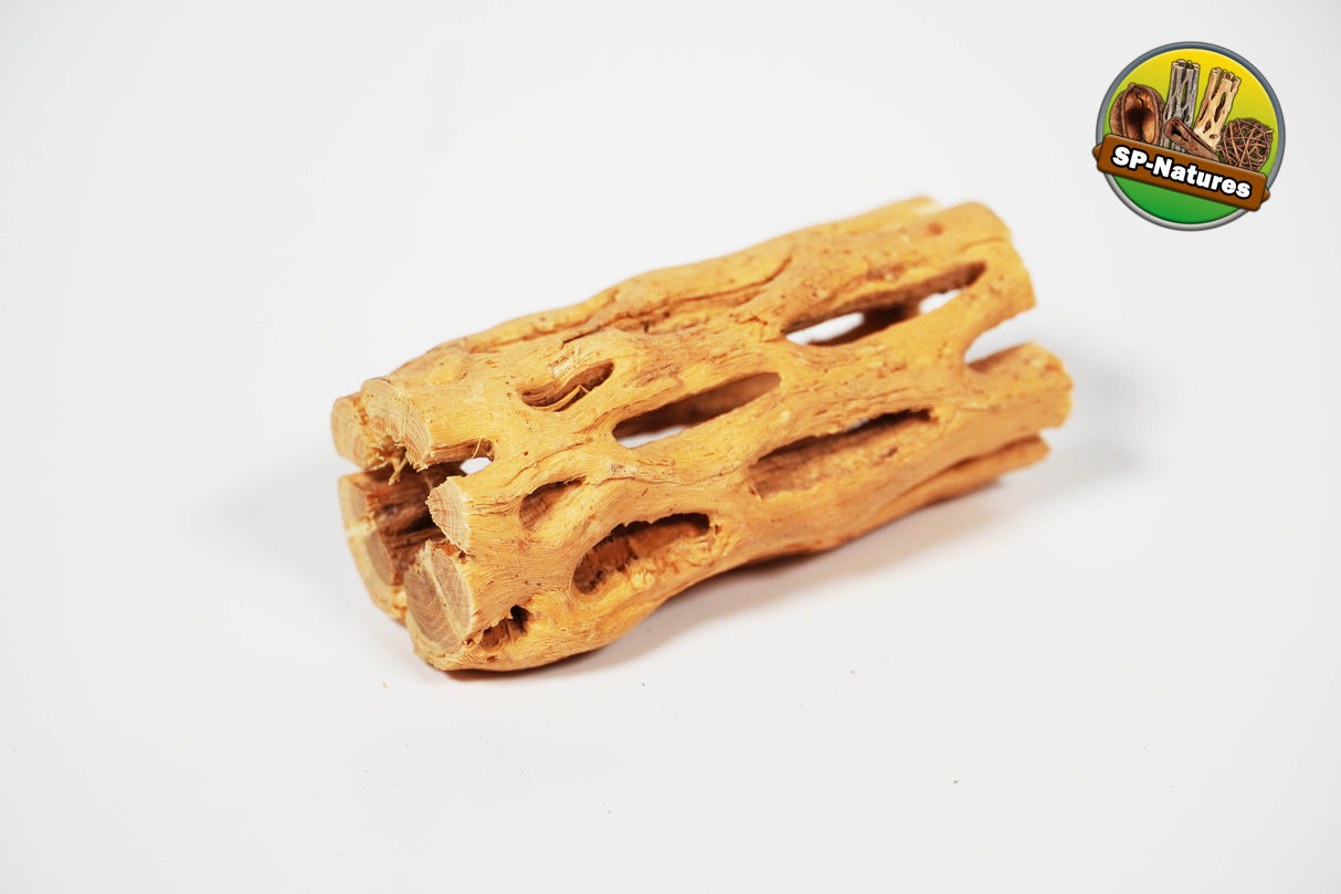 ShrimpPuddle Natures Vukaholz Hell 8 cm – Cholla-Holz