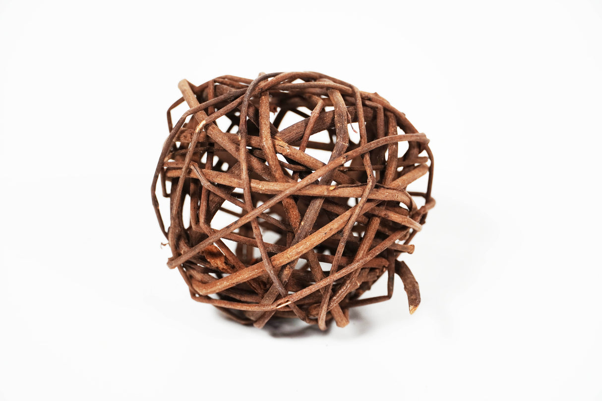 ShrimpPuddle Natures Garnelenspielball 8 cm – Naturdeko (Bild 2)