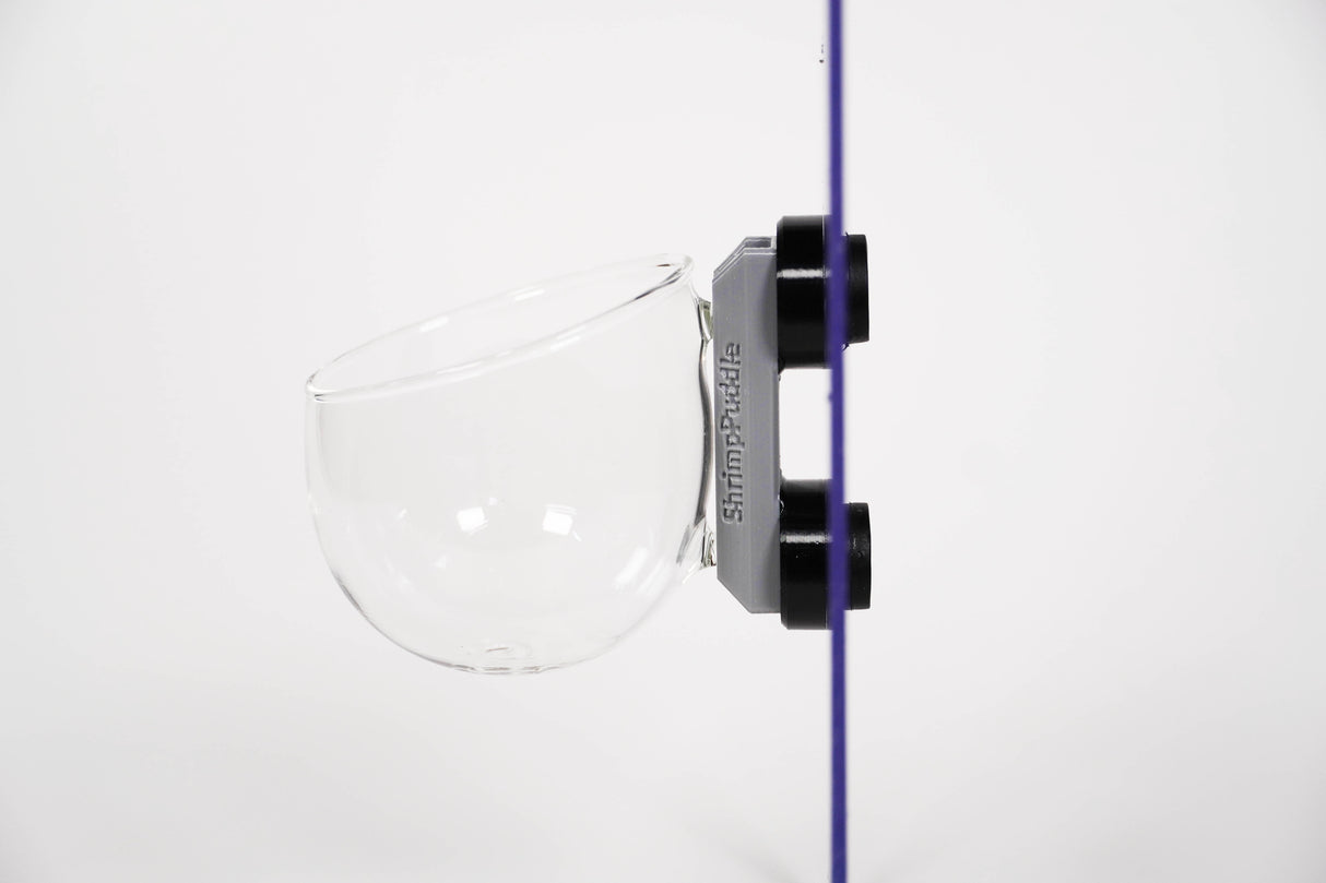 ShrimpPuddle Magnet Glas Pod – Pflanzschale fürs Aquarium (Bild 5)