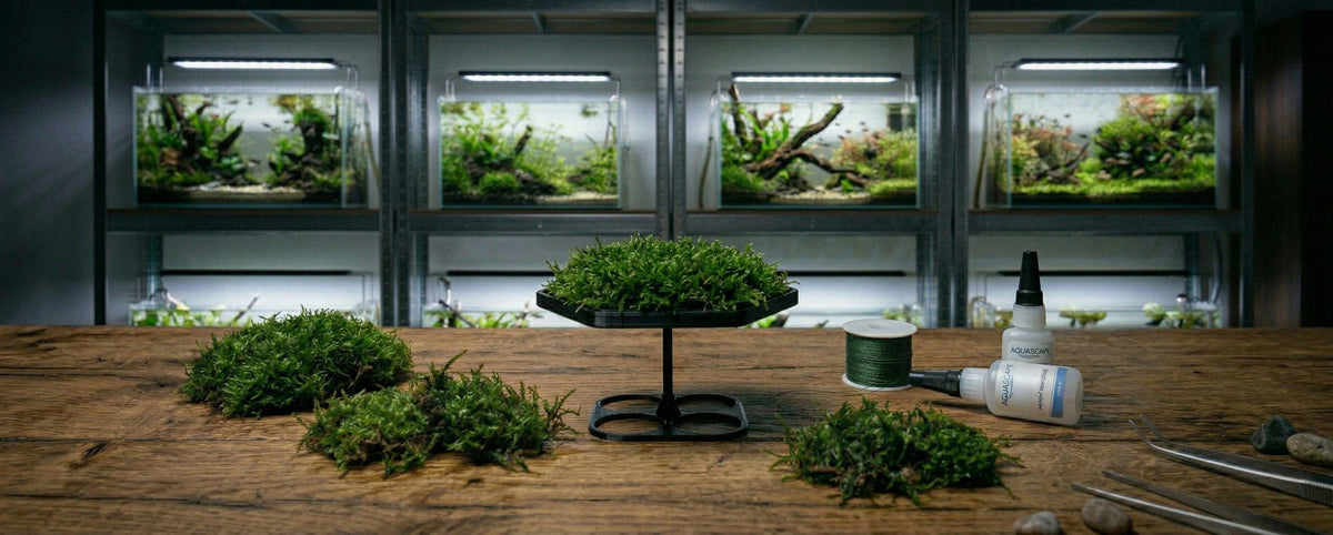 Moss pads