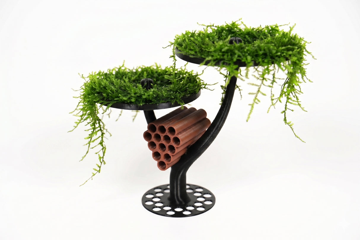 ShrimpPuddle Moospad Treehouse Baby Shrimp – Aufzucht & Versteck (Bild 2)