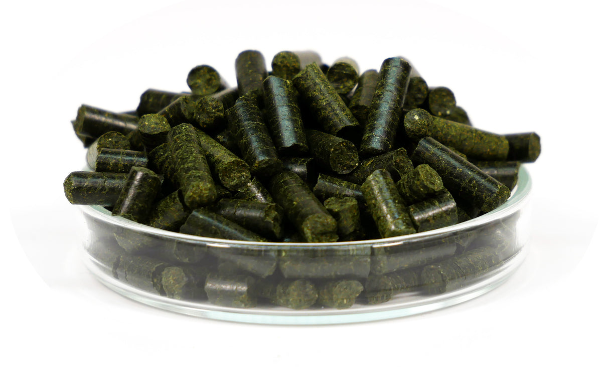 GARNELEN4YOU Neo Algen Sticks 30g – Spirulina Zuchtfutter (Bild 2)