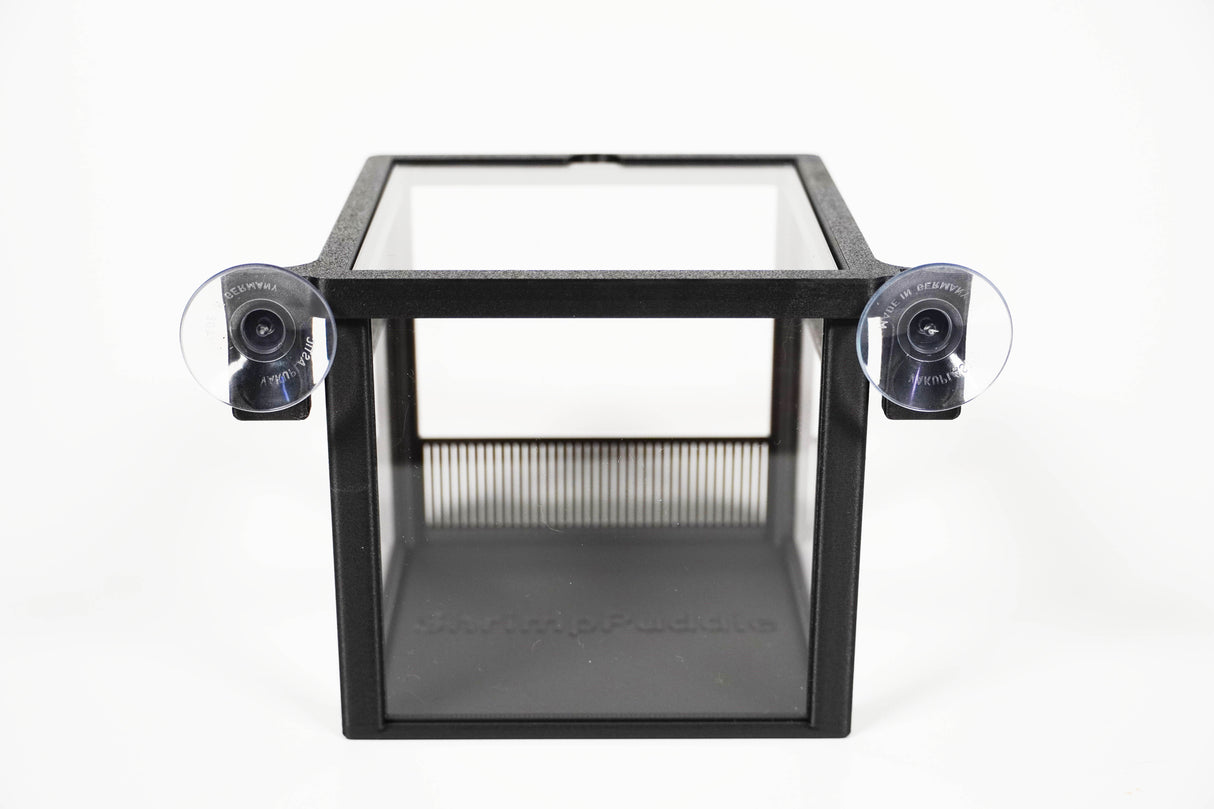 ShrimpPuddle Shrimp Select Box – Separier- & Zuchtbox (Bild 3)