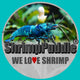 ShrimpPuddle