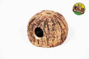 ShrimpPuddle Natures Paranuss mit Eingang 8-11 cm – Höhle
