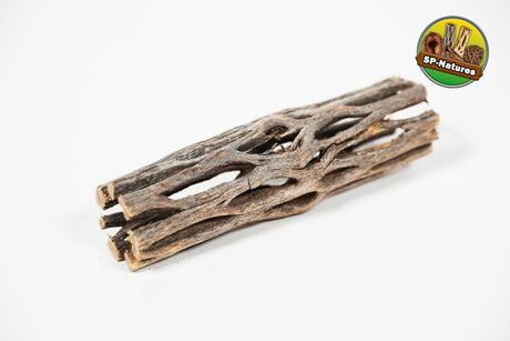 ShrimpPuddle Natures Vukaholz 8 cm – Cholla-Holz für Garnelen