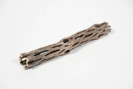 ShrimpPuddle Natures Vukaholz 15 cm – Cholla-Holz für Garnelen (Bild 3)