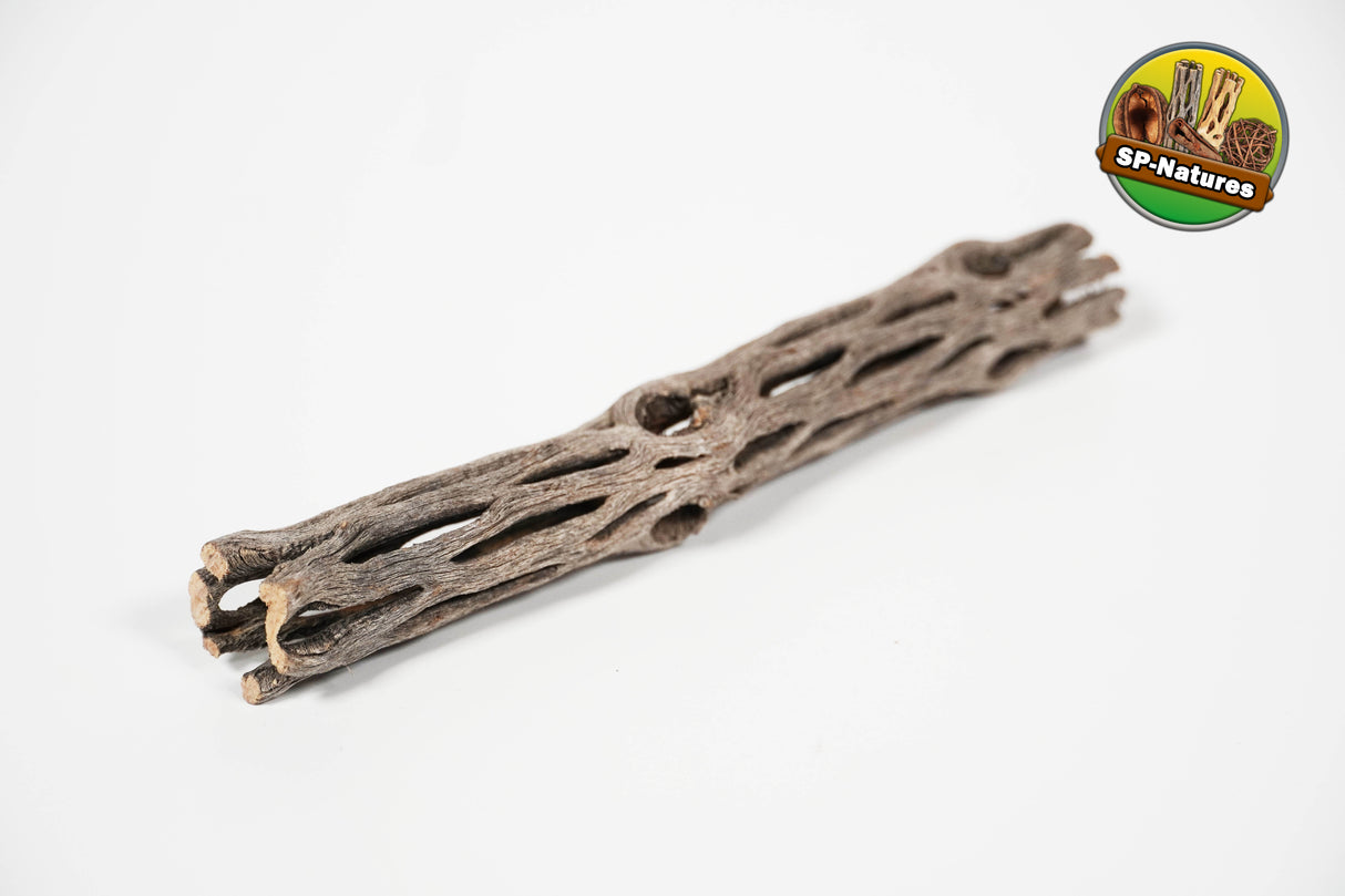 ShrimpPuddle Natures Vukaholz 15 cm – Cholla-Holz für Garnelen