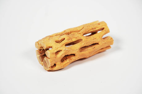 ShrimpPuddle Natures Vukaholz Hell 8 cm – Cholla-Holz (Bild 3)