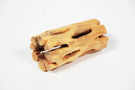 ShrimpPuddle Natures Vukaholz Hell 8 cm – Cholla-Holz (Bild 2)