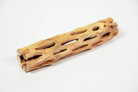 ShrimpPuddle Natures Vukaholz Hell 15 cm – Cholla-Holz (Bild 3)