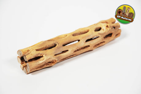 ShrimpPuddle Natures Vukaholz Hell 15 cm – Cholla-Holz