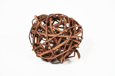 ShrimpPuddle Natures Garnelenspielball 8 cm – Naturdeko (Bild 2)