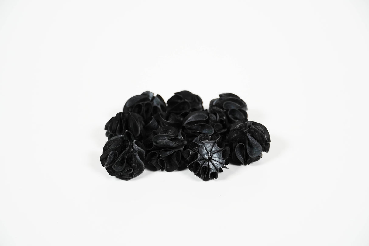 SP-Basics Baby Shrimp Shelter Black