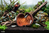 SP-Nature's Almond Nut