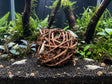 ShrimpPuddle Natures Garnelenspielball 8 cm – Naturdeko Anwendungsbeispiel