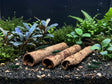 ShrimpPuddle Natures Seemandelbaumröhrchen 3 Stk. – Catappa-Röhre Anwendungsbeispiel