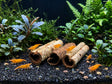 ShrimpPuddle Natures Nano Seemandelbaumröhrchen 3 Stk. – Catappa-Röhre Anwendungsbeispiel