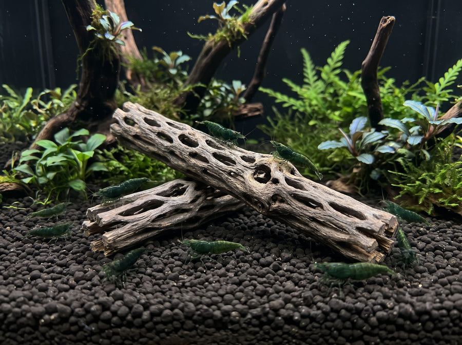 SP-Natures Vukaholz 2-piece Set