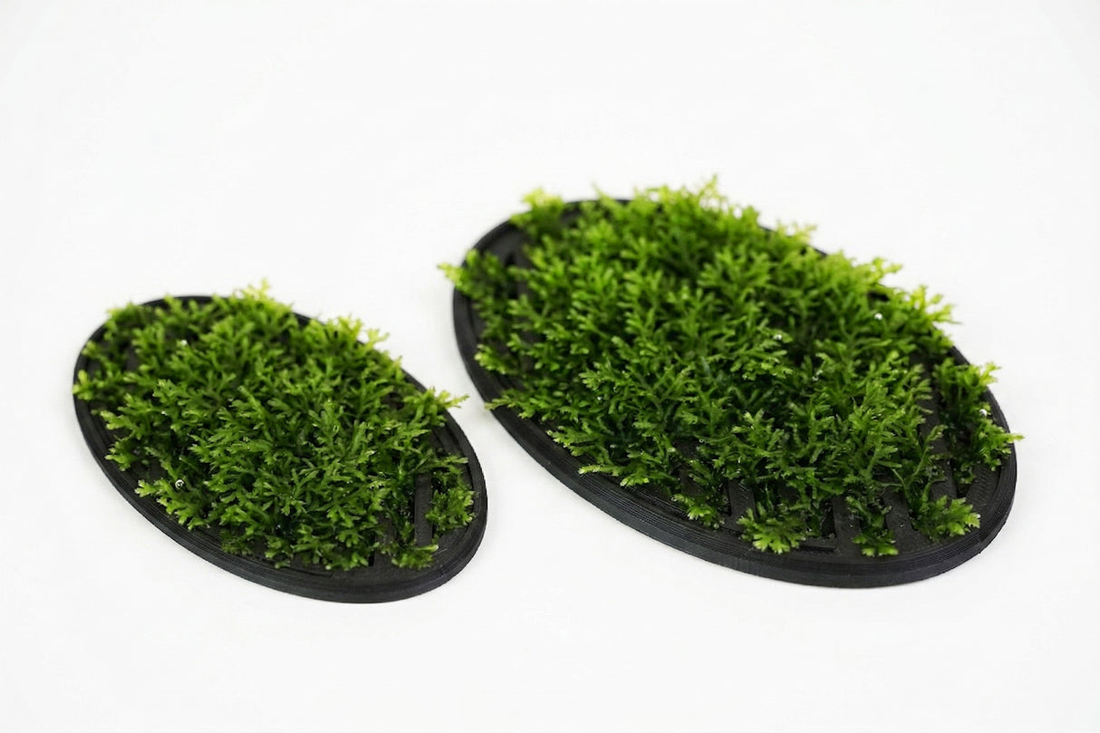 ShrimpPuddle Moospad Classic 2er Set – Moosgitter für Garnelen