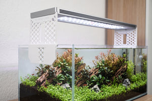 Lamp Accessories