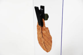 ShrimpPuddle Magnet Laubklammer – Catappa-Halter