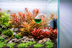 CO2 Accessories
