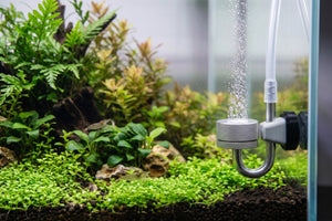 Magnet CO2