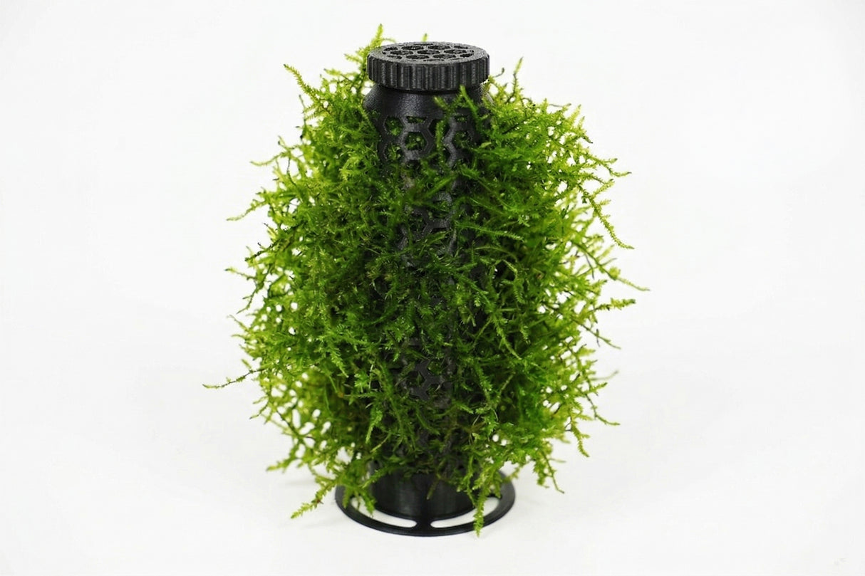 ShrimpPuddle Moos Tower – Moos-Säule fürs Aquascaping