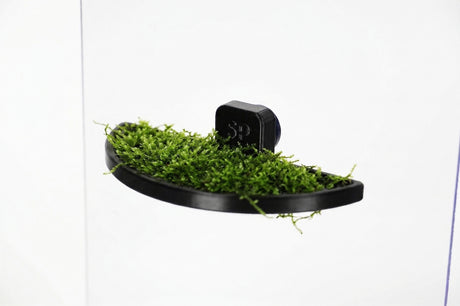 ShrimpPuddle Moospad Pro Halbrund – Magnet-Moosgitter