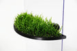 ShrimpPuddle Moospad Pro Halbrund XL – Magnet-Mooswand