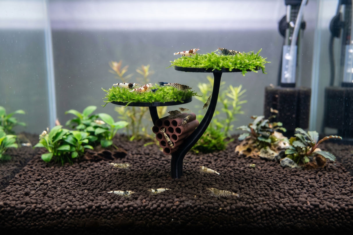 ShrimpPuddle Moospad Treehouse Baby Shrimp – Aufzucht & Versteck