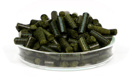 GARNELEN4YOU Neo Algen Sticks 30g – Spirulina Zuchtfutter (Bild 2)