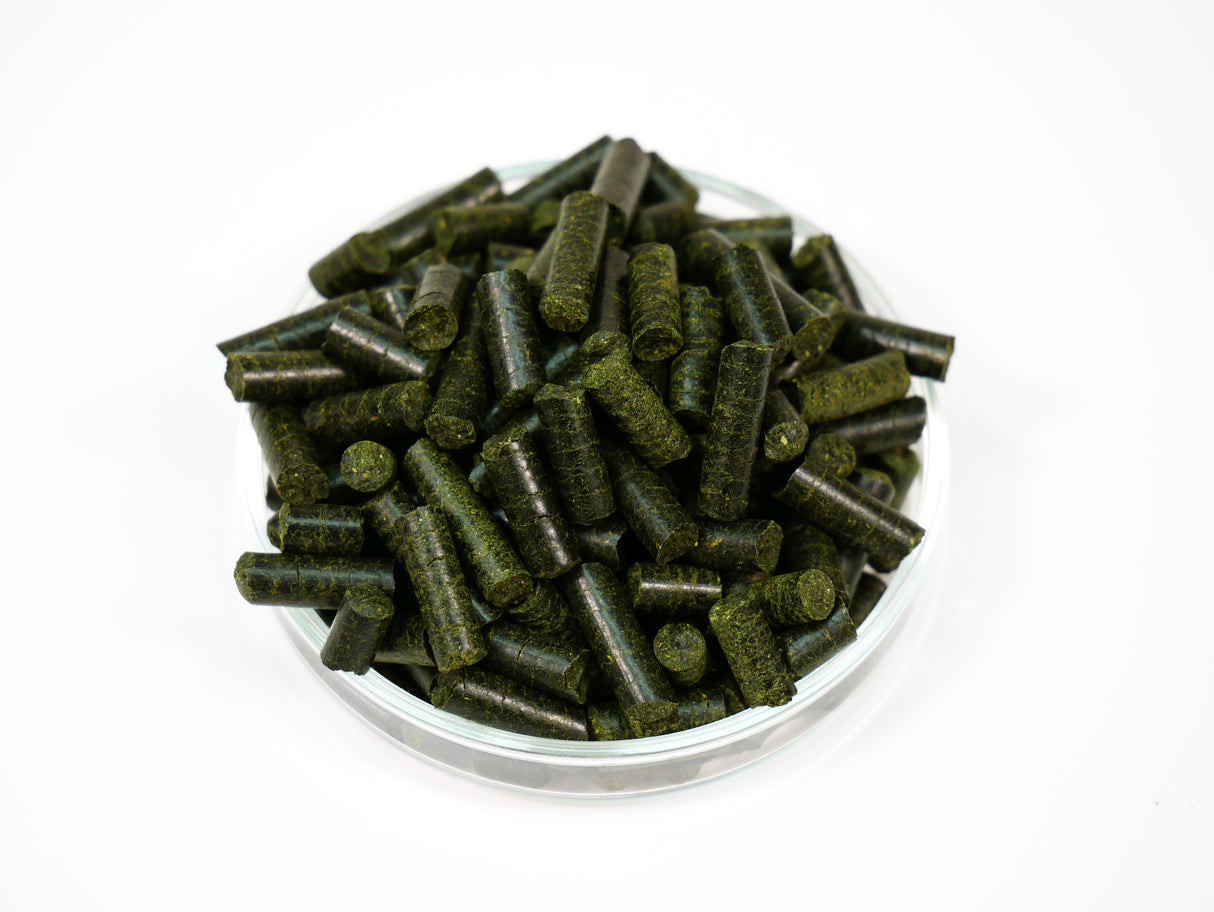 GARNELEN4YOU Neo Algen Sticks 30g – Spirulina Zuchtfutter (Bild 3)
