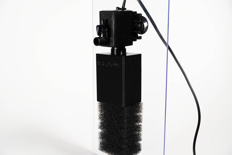 ShrimpPuddle Pat Mini Bio Filter Box – Filter-Upgrade (Bild 5)
