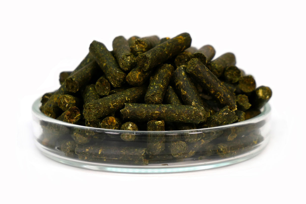 GARNELEN4YOU Planty Sticks 30g – pflanzliches Garnelenfutter (Bild 2)