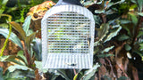 ShrimpPuddle ShrimpPipe Pfeifenkescher – Garnelen stressfrei fangen (Bild 6)