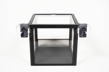 ShrimpPuddle Shrimp Select Box – Separier- & Zuchtbox (Bild 3)