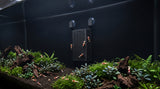 ShrimpPuddle Soil Background 2.0 S – Soil Refresh im Nano-Aquarium für Caridina