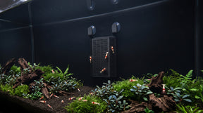ShrimpPuddle Soil Background 2.0 S – Soil Refresh im Nano-Aquarium für Caridina