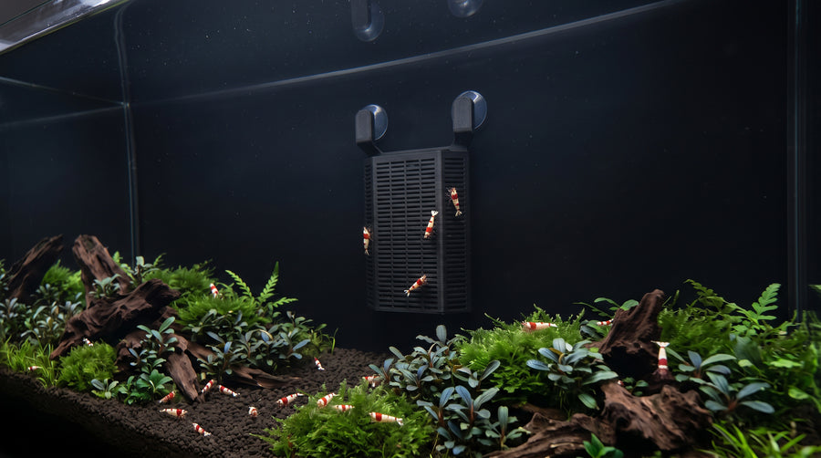 SP-Soil Background 2.0 S