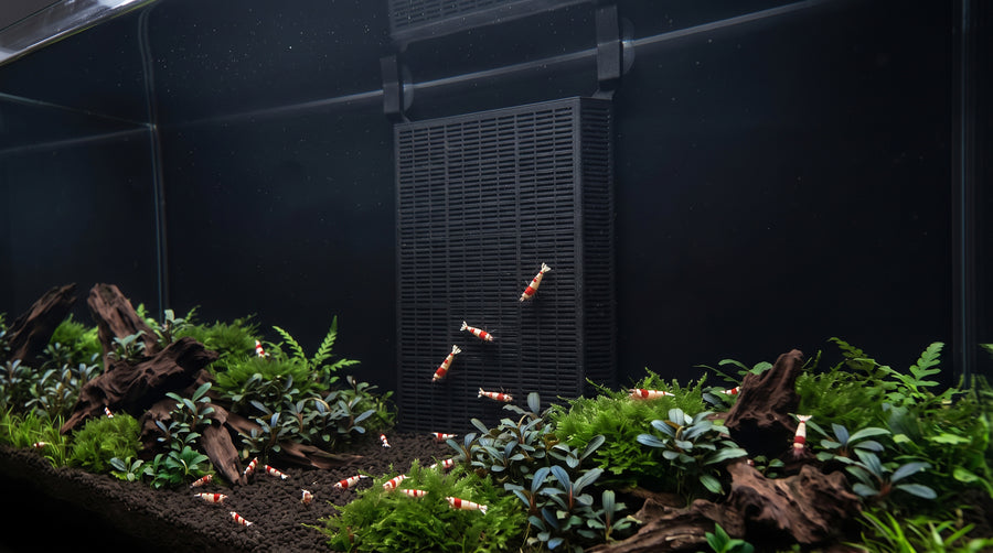 SP-Soil Background 2.0 XL