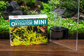 ShrimpPuddle Sommerhitze Oxydator Sparpaket – Sauerstoff bei Hitze