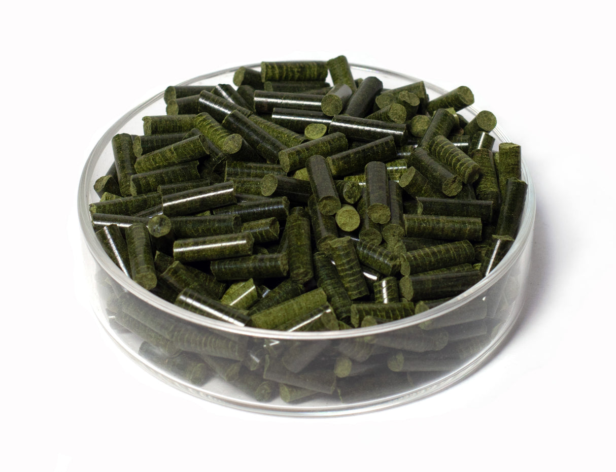 GARNELEN4YOU Spinat Sticks 50g – Naturfutter für Garnelen (Bild 2)