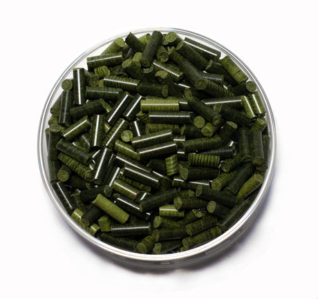 GARNELEN4YOU Spinat Sticks 50g – Naturfutter für Garnelen (Bild 3)