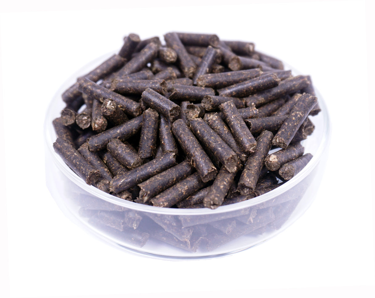 GARNELEN4YOU Spitzwegerich Sticks 50g – Garnelenfutter (Bild 2)