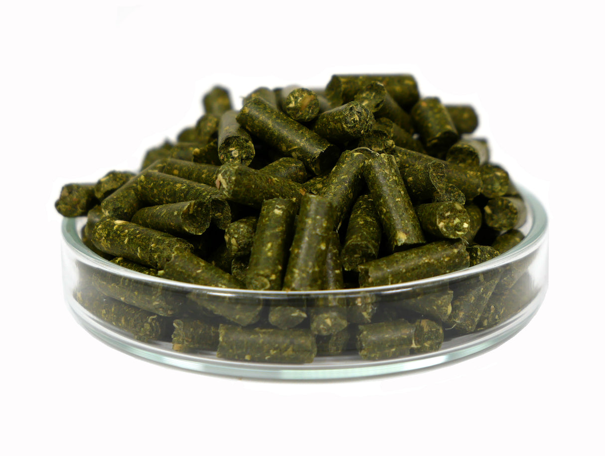 GARNELEN4YOU Maulbeer Sticks 50g – Garnelenfutter (Bild 2)