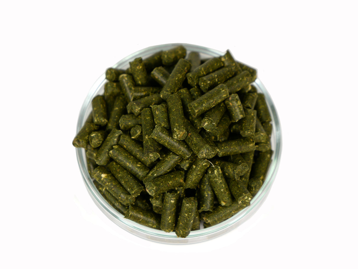 GARNELEN4YOU Maulbeer Sticks 50g – Garnelenfutter (Bild 3)