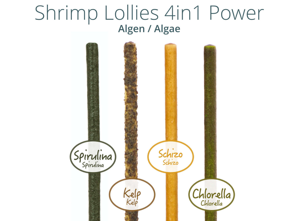 GlasGarten Shrimp Lollies 4in1 Power – Snack für Garnelen (Bild 4)