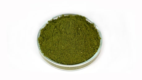 GARNELEN4YOU Baby Powder 30g – Aufzuchtfutter für Garnelen (Bild 4)